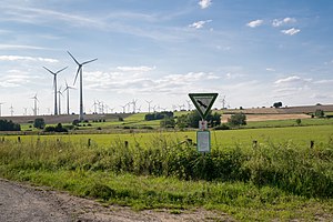 Eselsbett and Schwarzes Bruch nature reserve (August 2017)