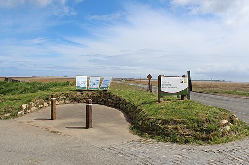 Lindisfarne National Nature Reserve - geograph.org.uk - 3478180