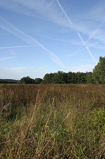 Rotes Luch fen area in Brandenburg, Germany