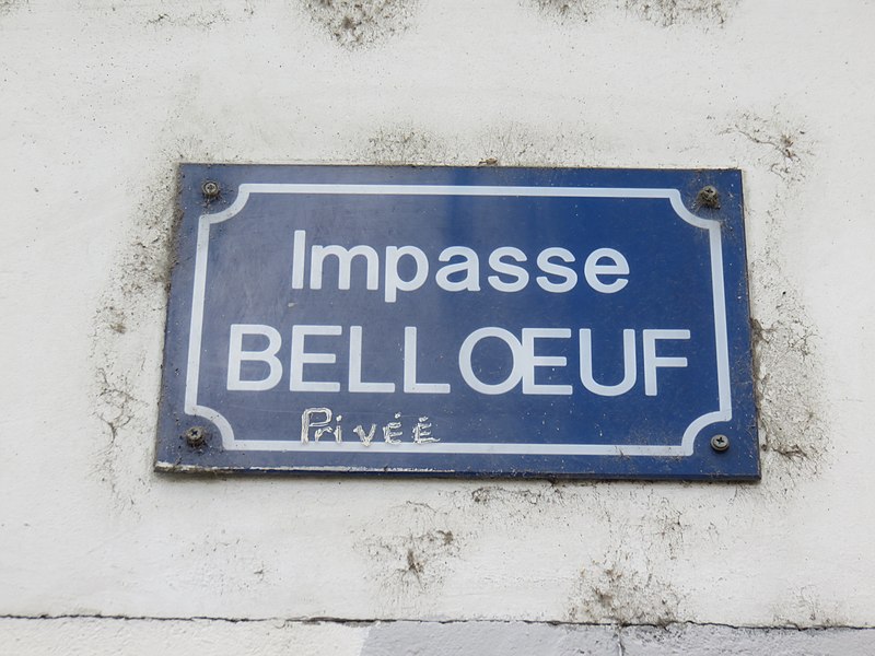 File:Lyon 3e - Impasse Belloeuf - Plaque 1 (mars 2019).jpg