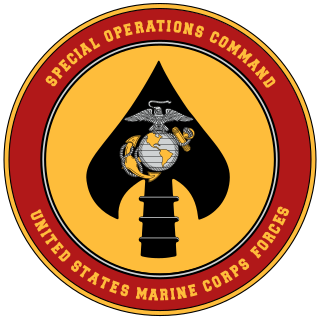 <span class="mw-page-title-main">United States Marine Forces Special Operations Command</span> United States Marine Corps component command