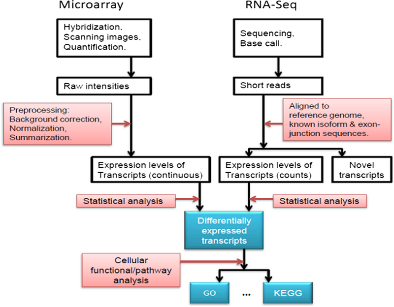 MIcroarray vs RNA-Seq MIcroarray vs RNA-Seq.png