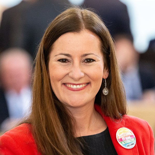 File:MK61753 Janine Wissler (Hessischer Landtag 2019).jpg