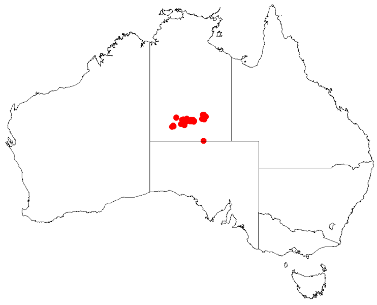 File:Macrozamia macdonnellii Dist Map15.png