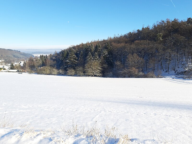 File:Malbach valley, Ehrenbach, after snow.jpg