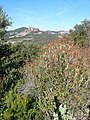 ]] (Vallès Occidental, Bages, Vallès Oriental) (Mura, Sant Llorenç Savall, Matadepera i altres). This is a a photo of a natural area in Catalonia, Spain, with id: ES510002 Object location 41° 40′ 12″ N, 1° 59′ 24″ E  View all coordinates using: OpenStreetMap