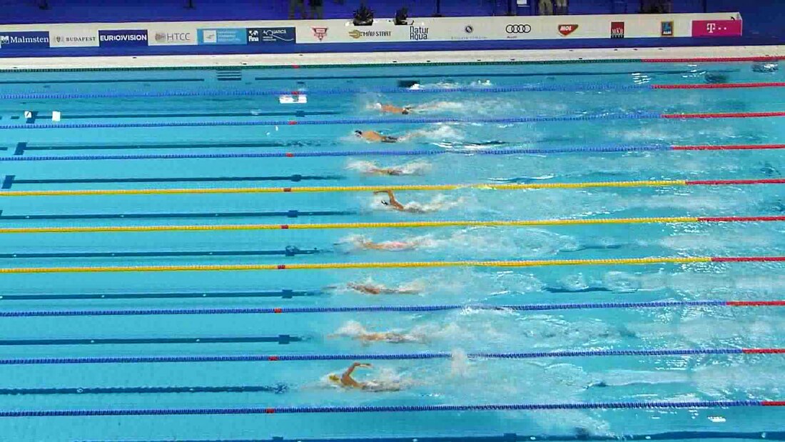 Swimming at the 2017 World Aquatics Championships – Men's 1500 metre freestyle