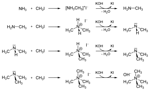 Methylation Ammonia.svg