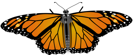 Monarch Butterfly.svg