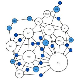 [صورة: 260px-Moreno_Sociogram_1st_Grade.svg.png]