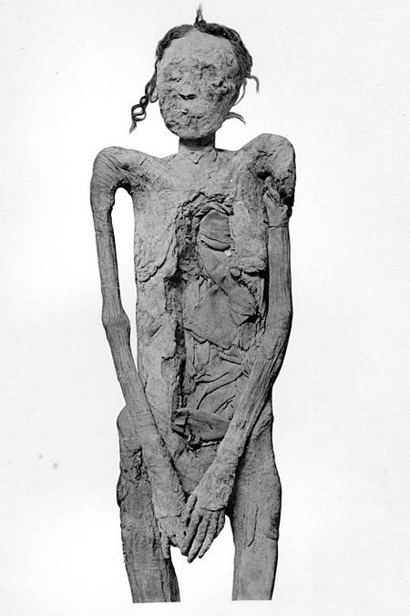 Mummy Ahmose-Sitkamose Smith.JPG