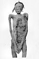 Mummy Ahmose-Sitkamose Smith.JPG