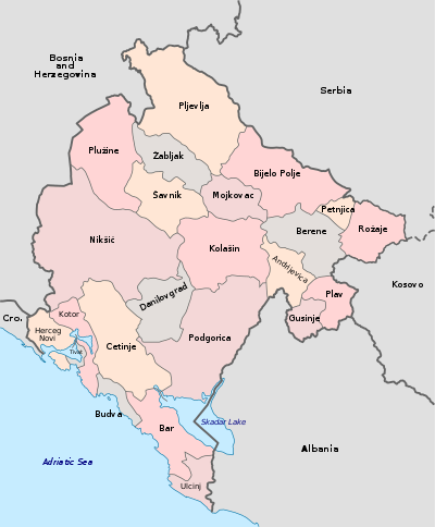Municipalities of Montenegro.svg