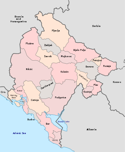 Opština (municipis) de Montenegreo