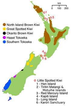 Visu piecu kivi sugu izplatība Jaunzēlandē