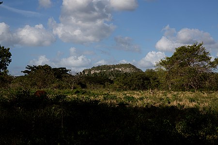 Najasa, Cuba