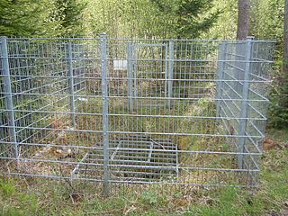 Entrance to the Pommerlesloch with a fence and cover