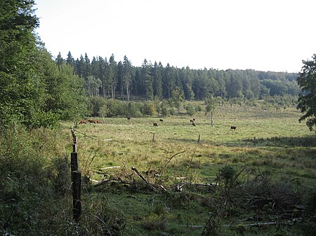 Naturschutzgebiet In der Strei