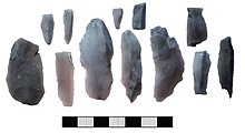 Mesolithic and/or Neolithic flint tools, found close to the summit of Leith Hill[8]