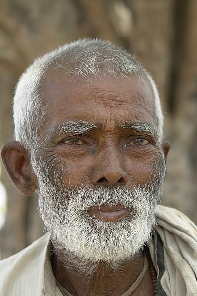 File:Old man, Bihar, India, 2012.jpg