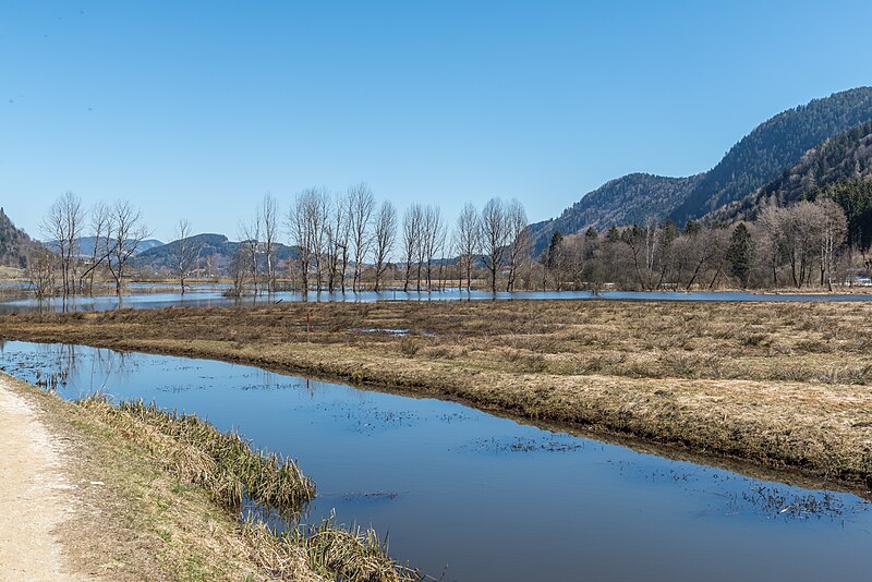 File:Ossiach Alt-Ossiach Bleistätter Moor Wasserflächen Baumreihen Sumpfwiesen 24032021 0604.jpg