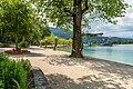 * Nomination Flower beach on Johannes-Brahms-Promenade, Pörtschach, Carinthia, Austria -- Johann Jaritz 01:33, 9 June 2024 (UTC) * Promotion  Support Good quality. --XRay 03:55, 9 June 2024 (UTC)