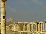 Palmyra - Syria -02.jpg