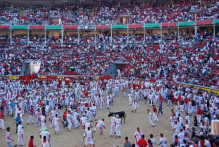 Plaza de Toros after the encierro in 2008