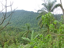 Wide view of Mbayang Game Sanctuary Patial view of Mbayang Mbo Wildlife Sanctuary.jpg