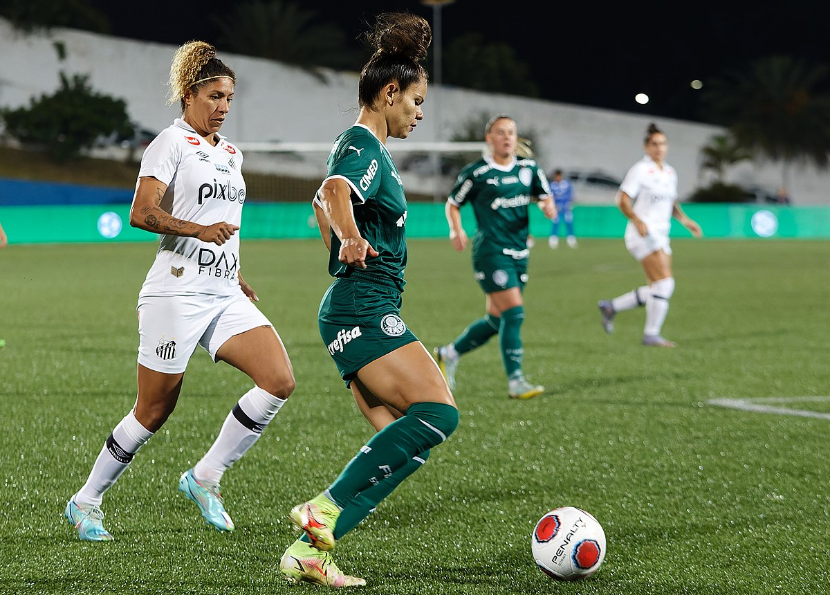 File:Paulista Feminino Final Santos 0x1 Palmeiras - 52571017433.jpg -  Wikipedia