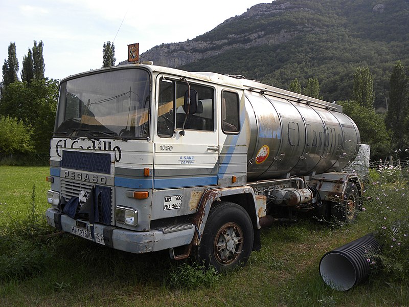 File:Pegaso 1080.jpg