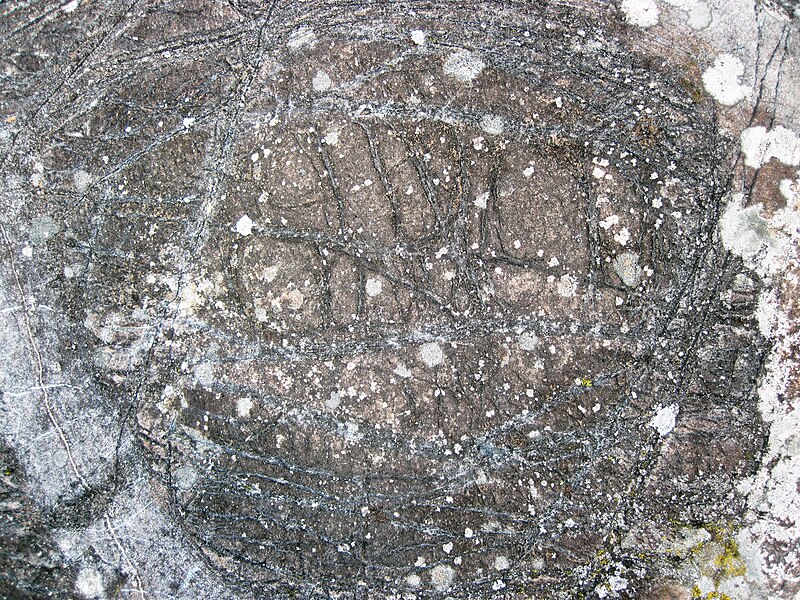 File:Peridotite & serpentinite (Upper Komatiitic Unit, Kidd-Munro Assemblage, Neoarchean, 2.711-2.717 Ga; southwest of the Potter Mine, east of Timmins, Ontario, Canada) 9 (47104399434).jpg