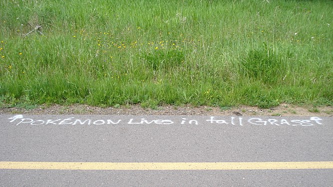 "Pokemon Lives in Tall Grass" Graffiti