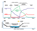 Neue Vektorgrafik