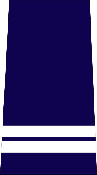 File:Police nationale-lieutenant.svg