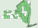 Prenanthes altissima NY-dist-map.png