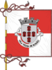 Flag of Vila Velha de Rodão