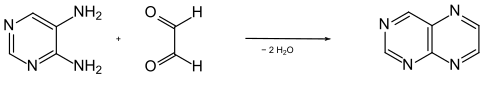 Synthesis of pteridine from 4,5-diaminopyrimidine and glyoxal Pteridinsynth2.svg