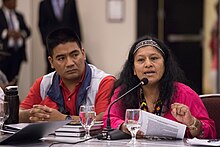 Aida Quilcue speaking on Indigenous rights in the context of peace agreements with the Colombian government. Pueblos indigenas y Acuerdos de Paz.jpg