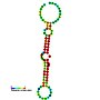 Thumbnail for Mir-133 microRNA precursor family