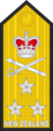 Vice admiral (הצי המלכותי של ניו זילנד)[41]
