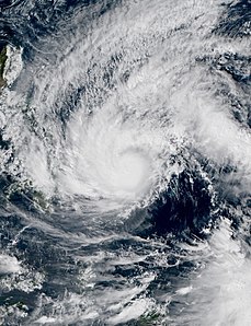 Typhoon rai