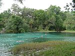 Rainbow Springs State Park