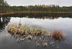 Lake Raudsepa in Kulli