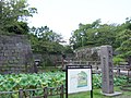 鹿児島県歴史資料センター黎明館（御楼門跡）