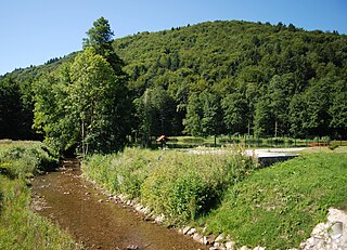 <span class="mw-page-title-main">Mirna (Sava)</span> River in Slovenia