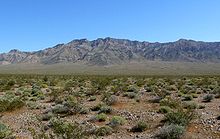 The Resting Spring Range viewed from Chicago Valley in the Mojave Desert.