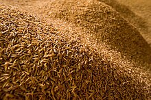 Rice husk, an organic agricultural waste product from the farming of rice. Rice husk powder can be used as a foam latex filler. (Reference 6) Rice husk.jpg