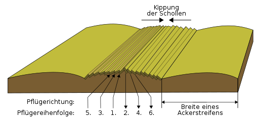 Ridge and furrow-de