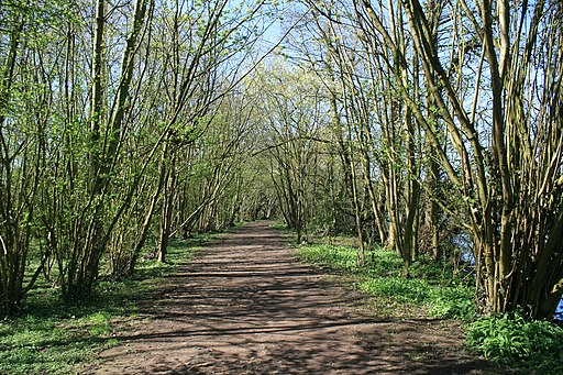 River Dee riverside walk near Eaton Hall - geograph.org.uk - 2400691